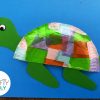Paper Plate turtle